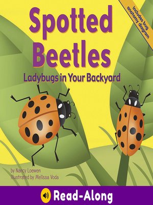 cover image of Spotted Beetles